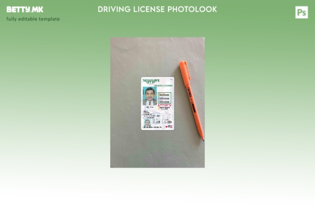 Возачка дозвола во модерен стил САД Мисисипи под шаблон photolook FRONT